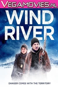 Download  Wind River (2017) Bluray English 480p [350MB] | 720p [750MB]