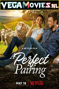 Download  A Perfect Pairing (2022) Dual Audio {Hindi-English} 480p [400MB] | 720p [920MB] | 1080p [2GB]