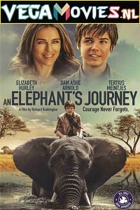 Download  An Elephant’s Journey (2017) Dual Audio {Hindi-English} 480p [300MB] | 720p [850MB] | 1080p [1.6GB]