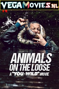 Download  Animals on the Loose: A You vs. Wild Movie (2021) English 480p [520MB] | 720p [1.5GB]