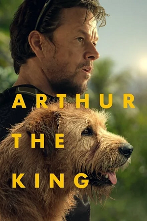 Download  Arthur the King (2024) WEB-DL {English With Subtitles} Full Movie 480p [320MB] | 720p [870MB] | 1080p [2.2GB]