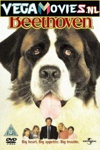 Download  Beethoven (1992) Dual Audio {Hindi-English} 480p [300MB] | 720p [900MB]