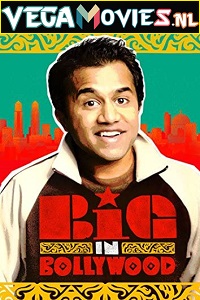 Download  Big in Bollywood (2011) English Full Movie 480p [200MB] | 720p [700MB] | 1080p [2GB]