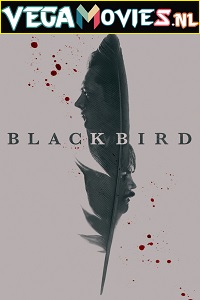 Download  Black Bird (2022) Season 1 [S01E06 Added] [English With Hindi - English Subtitles] Appletv- Original 720p HEVC [250MB] WEB-DL