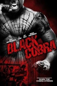 Download  Black Cobra (2012) Dual Audio {Hindi-English} 480p [300MB] | 720p [800MB] BluRay