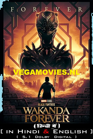 Download  Black Panther: Wakanda Forever (2023) iMAX Dual Audio [Hindi DD5.1 – English] 480p [500MB] | 720p [1.4GB] | 1080p [3GB] | 2160p