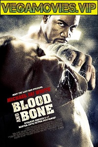 Download  Blood and Bone (2009) Dual Audio {Hindi-English} 480p [300MB] | 720p [700MB]