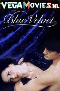 Download  Blue Velvet (1986) Dual Audio [Hindi-English] 480p [350MB] | 720p [900MB]