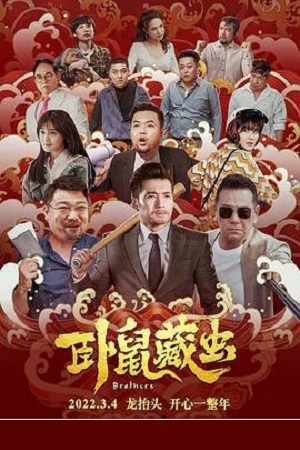 Download  Brothers (2022) WEB-DL Dual Audio {Hindi-Chinese} 480p [300MB] | 720p [790MB] | 1080p [2.4GB]