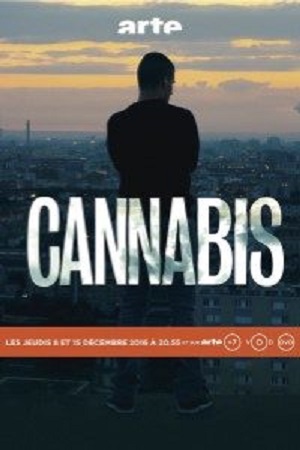 Download  Cannabis (2016) Season 1 Hindi Complete MX Original WEB Series 480p | 720p HDRip