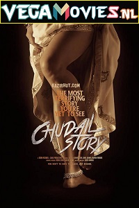 Download  Chudail Story (2016) Hindi Full Movie 480p [250MB] | 720p [900MB] | 1080p [2.5GB]