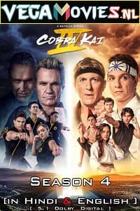 Download  Cobra Kai – Netflix Original (2021) Season 4 Dual Audio {Hindi-English} 480p [150MB] | 720p [300MB] WEB-DL