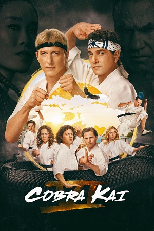 Download  Cobra Kai (2024) Season 6 [Part-1] Dual Audio {Hindi-English} NetFlix-Series 480p | 720p | 1080p WEB-DL