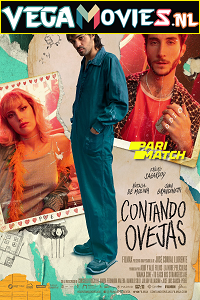 Download  Contando ovejas (2022) Hindi [Voice Over] Full Movie CAMRip 720p [968MB]