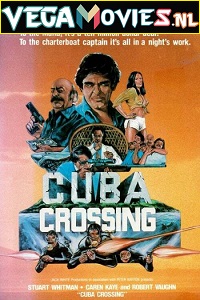 Download  Cuba Crossing (1980) Dual Audio {Hindi-English} 480p [350MB] | 720p [1.3GB]