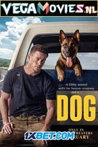 Download  Dog (2021) Hindi [Voice Over] Full Movie WEBRip 720p [922MB]