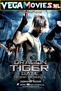 Download  Dragon Tiger Gate (2006) Dual Audio {Hindi-Chinese} 480p [450MB] | 720p [850MB] | 1080p [2GB]