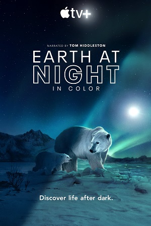 Download  Earth at Night in Color (Season 1 – 2) Complete Dual-Audio {Hindi-English} Apple TV- Original 1080p | 720p WEB-DL