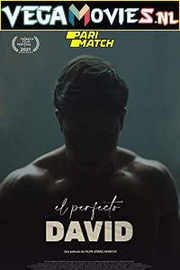 Download  El Perfect David (2021) Hindi Voice Over Full Movie WEB-DL 720p [1GB]