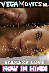 Download  Endless Love (2014) Dual Audio {Hindi-English} 480p [350MB] | 720p [900MB] | 1080p [1.8GB]