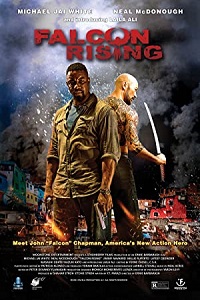 Download  Falcon Rising (2014) Dual Audio Hindi 480p [300MB] || 720p [800MB]