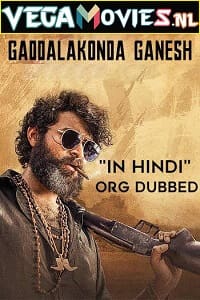 Download  Gaddalakonda Ganesh (2019) WEB-DL [Hindi Dubbed] Full Movie 480p [550MB] | 720p [950MB] | 1080p [2.4GB]