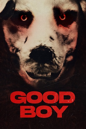 Download  Good Boy (2022) Dual Audio [Hindi - Norwegian] BluRay 480p [350MB] | 720p [750MB] | 1080p [1.7GB]