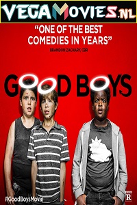 Download  Good Boys (2019) Dual Audio {Hindi-English} 480p [300MB] | 720p [650MB] | 1080p [1.3GB]