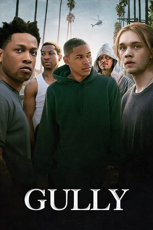 Download  Gully (2019) Dual Audio [Hindi - English] WeB-DL 480p [300MB] | 720p [900MB] | 1080p [1.7GB]