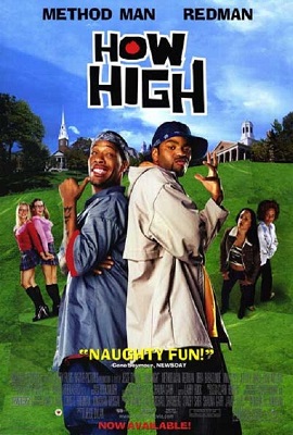 Download  How High (2001) Dual Audio {Hindi-English} 480p [330MB] | 720p [950MB] | 1080p [2.8GB]