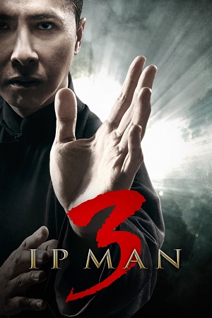 Download  Ip Man 3 (2015) Dual Audio [Hindi - Chinese] WeB-DL 480p [350MB] | 720p [900MB] | 1080p [2.1GB]