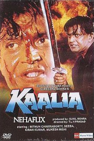 Download  Kaalia (1997) Hindi Full Movie WEB-DL 480p [400MB] | 720p [1.3GB] | 1080p [3.6GB]