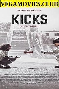 Download  Kicks (2016) Dual Audio {Hindi-English} 480p [300MB] | 720p [850MB]