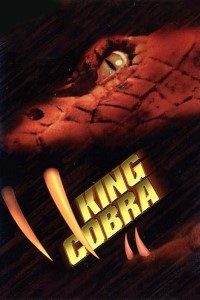 Download  King Cobra (1999) Dual Audio {Hindi-English} 480p [300MB] | 720p [1GB] BluRay