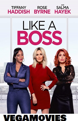 Download  Like a Boss (2020) Dual Audio Hindi BluRay 480p [320MB] | 720p [750MB] | 1080p [2.6GB]