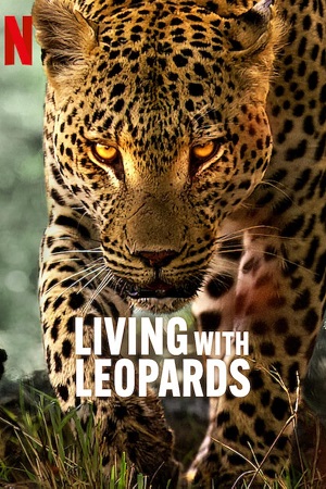 Download  Living with Leopards (2024) {English with Subtitles} Full Movie WEB-DL 480p [200MB] | 720p [570MB] | 1080p [1.3GB]