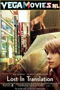 Download  Lost in Translation (2003) Dual Audio {Hindi-English} 480p [450MB] | 720p [1GB] | 1080p [2.5GB]