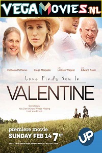 Download  Love Finds You in Valentine (2016) Dual Audio {Hindi-English} 480p [300MB] | 720p [750MB]