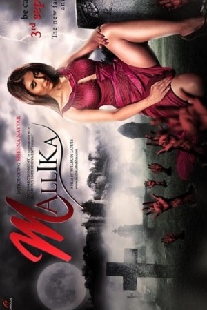 Download  Mallika (2010) HDRip Hindi Full Movie 480p [300MB] | 720p [1GB] | 1080p [2.9GB]