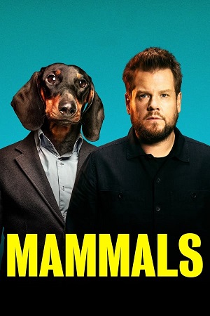 Download  Mammals (2022) Season 1 Dual Audio {Hindi-English} Amazon Prime 480p | 720p WEB-DL