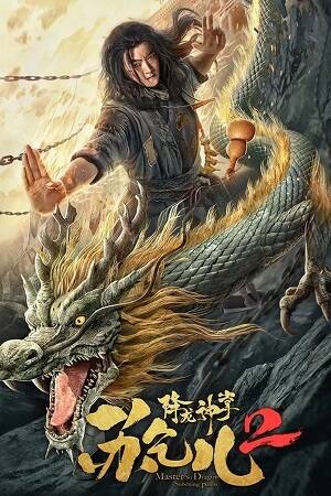 Download  Master So Dragon Subduing Palms 2 (2020) Dual Audio [Hindi - English] WeB-DL 480p [250MB] | 720p [600MB] | 1080p [1.2GB]