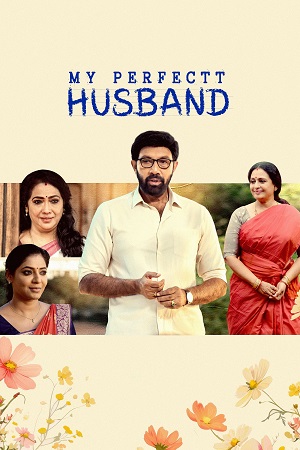 Download  My Perfectt Husband (2024) Hindi Season 1 Complete Hotstar Special WEB Series 480p | 720p | 1080p WEB-DL