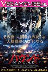 Download  Night of the Wild (2015) Dual Audio {Hindi-English} 480p [300MB] | 720p [800MB]