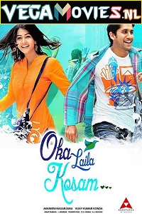 Download  Oka Laila Kosam (Love Action Dhamaka) (2014) Dual Audio [Hindi-Telugu] WeB-DL 480p [500MB] | 720p [1.3GB] | 1080p [2.5GB]