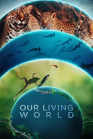 Download  Our Living World (Season 1) Dual Audio {Hindi ORG. - English} 480p | 720p | 1080p