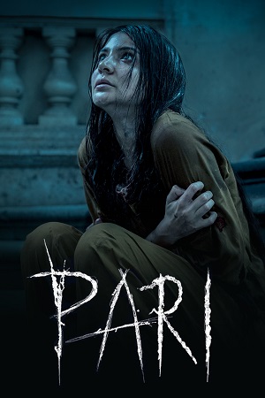 Download  Pari (2018) Hindi Full Movie WEB-DL 480p [400MB] | 720p [900MB] | 1080p [4GB]