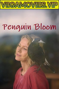 Download  Penguin Bloom (2020) HDCAM English 480p [250MB] | 720p [850MB]