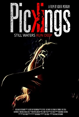 Download  Pickings (2018) Dual Audio {Hindi-English} 480p [300MB] | 720p [900MB]