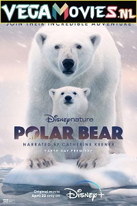 Download  Polar Bear (2022) {English With Subtitles} 480p [250MB] | 720p [700MB] | 1080p [2.4GB]