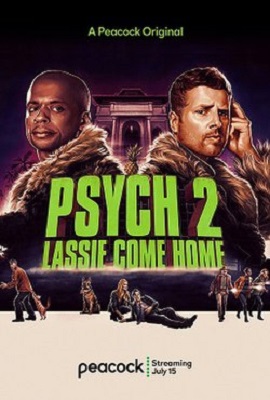 Download  Psych 2 (2020) Dual Audio {Hindi-English} 480p [300MB] | 720p [800MB]